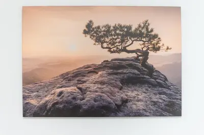 Przyroda w pobliżu tego apartamentu