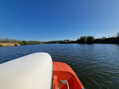 Przyroda w pobliżu tej willi