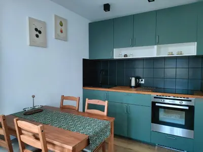 Kuchnia lub aneks kuchenny w obiekcie Apartamenty Dom Zielony