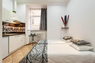 Kuchnia lub aneks kuchenny w obiekcie Apartamenty Opera