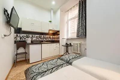 Kuchnia lub aneks kuchenny w obiekcie Apartamenty Opera