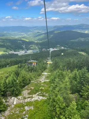 Przyroda w pobliżu tego apartamentu