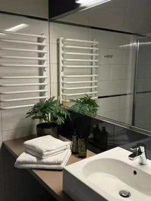 Łazienka w obiekcie Apartament Buena Vista Czarna Góra Sienna