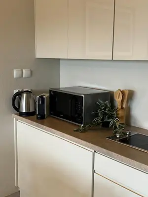 Kuchnia lub aneks kuchenny w obiekcie Apartament Buena Vista Czarna Góra Sienna