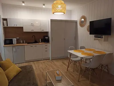 Kuchnia lub aneks kuchenny w obiekcie Słoneczny apartament z prywatną sauną w Stroniu Śląskim