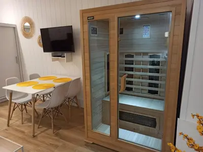 Telewizja i/lub zestaw kina domowego w obiekcie Słoneczny apartament z prywatną sauną w Stroniu Śląskim