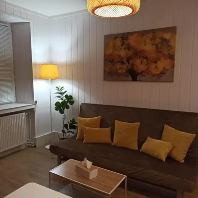 Słoneczny apartament z prywatną sauną w Stroniu Śląskim