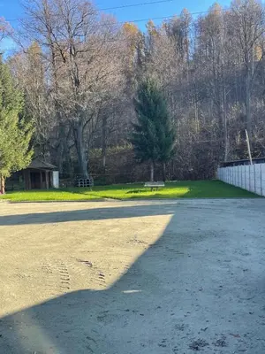 Przyroda w pobliżu tego apartamentu
