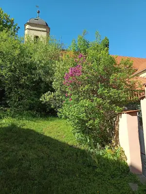 Ogród w obiekcie Apartament pod Wieżą Srebrna Góra