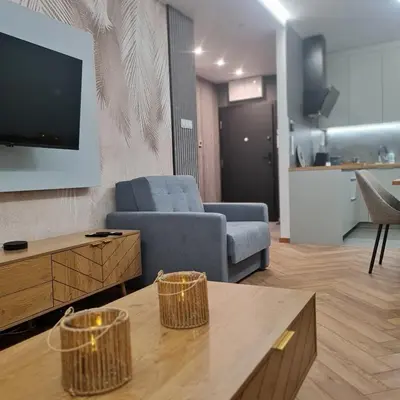 Telewizja i/lub zestaw kina domowego w obiekcie Central Park Green Apartament