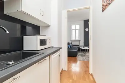 Kuchnia lub aneks kuchenny w obiekcie Rynek Apartment The Heart of the City by Noclegi Renters