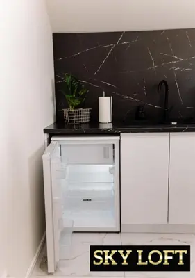 Kuchnia lub aneks kuchenny w obiekcie SkyLOFT & MiniLOFT Opole