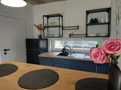 Kuchnia lub aneks kuchenny w obiekcie Domki Granero w Górach Sowich