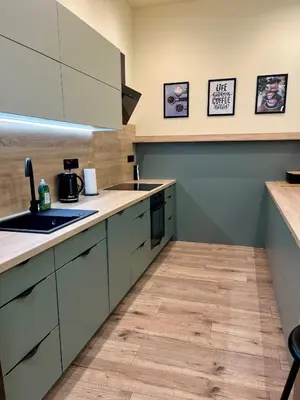 Kuchnia lub aneks kuchenny w obiekcie Bastet Apartamenty