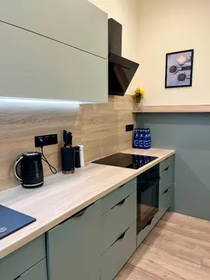 Kuchnia lub aneks kuchenny w obiekcie Bastet Apartamenty