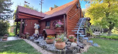 Ogród w obiekcie Apartament SECESJA