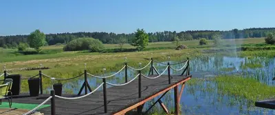 Przyroda w pobliżu tego domu wakacyjnego