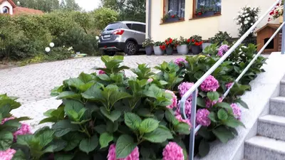 Ogród w obiekcie Noclegi u Ireny