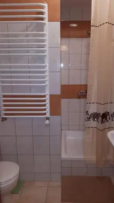 Łazienka w obiekcie Noclegi u Ireny