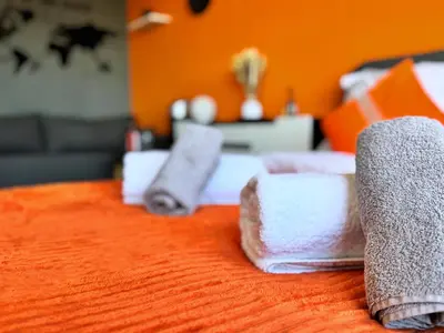 Łóżko lub łóżka w pokoju w obiekcie Apartament Książęca Góra