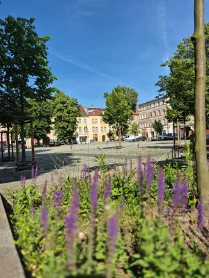 Ogród w obiekcie Luxury Apartments Kamienna Góra