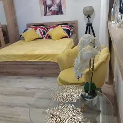 Elegancki Apartament w Centrum Miasta P&P