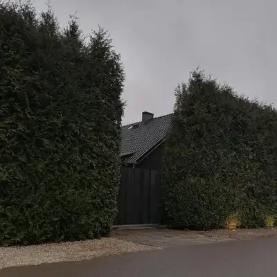 na świetego Urbana netflix canalplus hbo