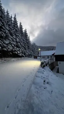 Przyroda w pobliżu tego domu wakacyjnego