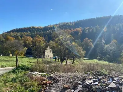Przyroda w pobliżu tego domu w stylu alpejskim