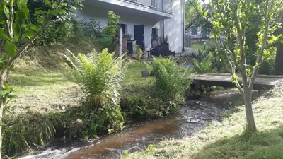 Ogród w obiekcie Apartamenty Kudowski Potok