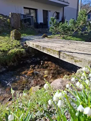 Ogród w obiekcie Apartamenty Kudowski Potok