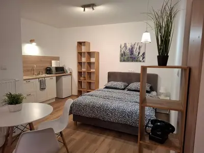 Kuchnia lub aneks kuchenny w obiekcie Apartamenty Kudowski Potok