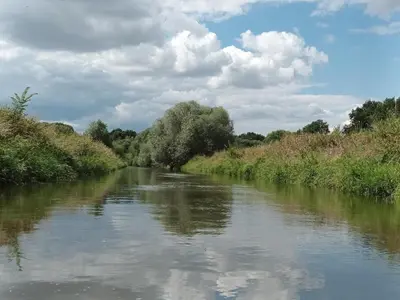 Przyroda w pobliżu tego domu wakacyjnego