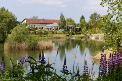 Przyroda w pobliżu tego kempingu