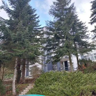 Ogród w obiekcie W KORONACH DRZEW Apartamenty Polanica-Zdrój