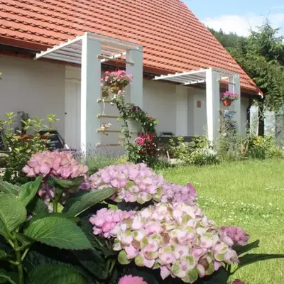 Przystanek Dzika Dolina
