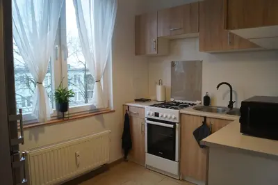Kuchnia lub aneks kuchenny w obiekcie Apartament Gagarina