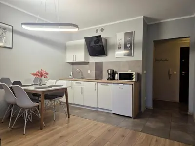 Kuchnia lub aneks kuchenny w obiekcie Apartament DĄBROWSKIEGO
