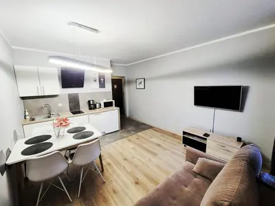 Kuchnia lub aneks kuchenny w obiekcie Apartament DĄBROWSKIEGO