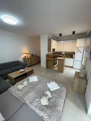 Kuchnia lub aneks kuchenny w obiekcie Apartament z dużym tarasem - najbliżej PreZero