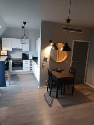 Kuchnia lub aneks kuchenny w obiekcie Apartament Dominikanski