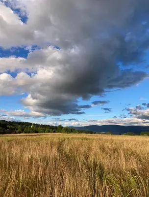 Przyroda w pobliżu tego domu w stylu alpejskim