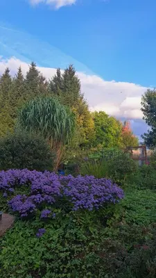 Ogród w obiekcie Dom Gościnny Zarembianka