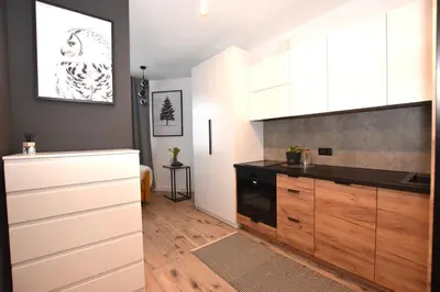 Kuchnia lub aneks kuchenny w obiekcie Apartamenty K1 wi-fi netflix