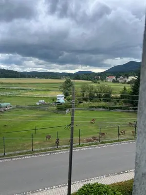Przyroda w pobliżu tego apartamentu