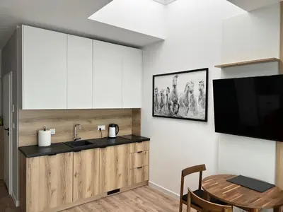 Kuchnia lub aneks kuchenny w obiekcie Apartment Wrocław - Zwycięska FREE GARAGE