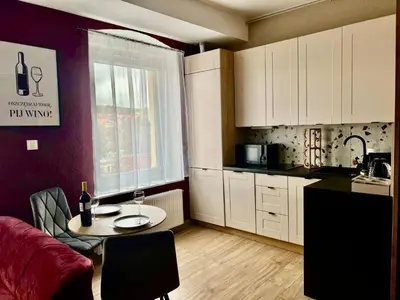 Kuchnia lub aneks kuchenny w obiekcie Apartament Czerwone Wino 100m od Szczawno-Zdrój