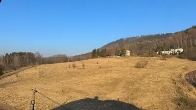 Przyroda w pobliżu tego apartamentu