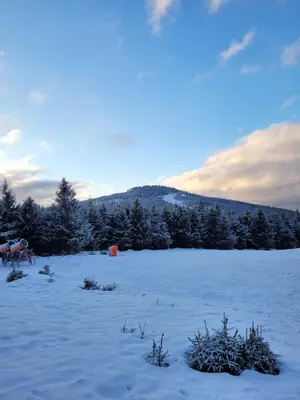 Obiekt Bormio 27 Czarna Góra zimą
