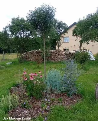 Ogród w obiekcie Agroturystyka Jak Makiem Zasiał Dworki 10